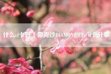 什么cf卡好（雷克沙DIAMOND CFe B卡分享）