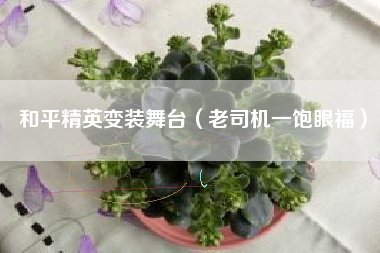 和平精英变装舞台（老司机一饱眼福）