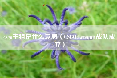 csgo主狙是什么意思（CSGO:Letsquit战队成立）