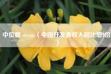 中位数 steam（中国开发者收入同比增3倍）