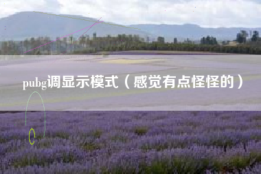 pubg调显示模式（感觉有点怪怪的）