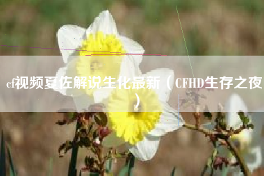 cf视频夏佐解说生化最新（CFHD生存之夜）