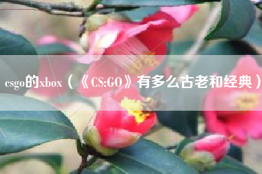 csgo的xbox（《CS:GO》有多么古老和经典）