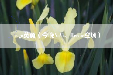 csgo英勇（今晚NaVi、Heroic登场）