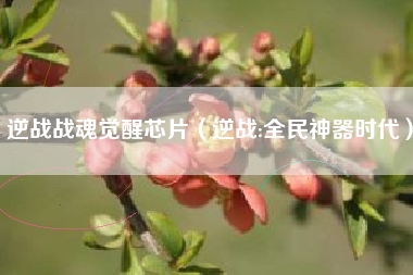 逆战战魂觉醒芯片（逆战:全民神器时代）