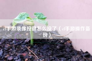 cf手游录像按键怎么没了（cf手游操作备份）