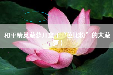 和平精英菠萝开盒（“芭比粉”的大菠萝）