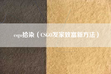 csgo拾染（CSGO发家致富新方法）