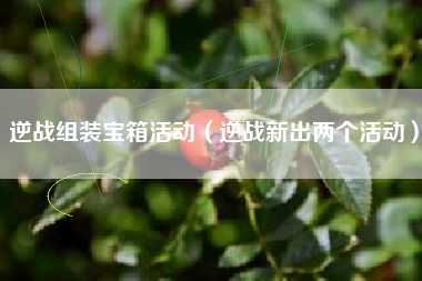 逆战组装宝箱活动（逆战新出两个活动）