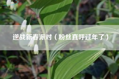 逆战新春派对（粉丝直呼过年了）