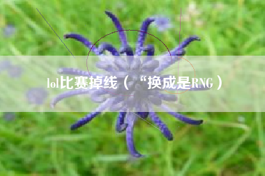 lol比赛掉线（“换成是RNG）