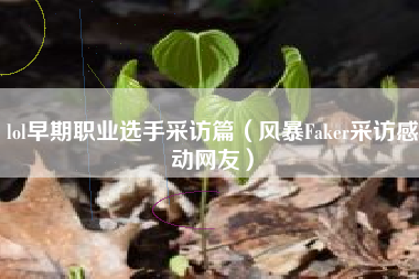 lol早期职业选手采访篇（风暴Faker采访感动网友）