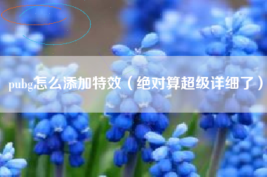 pubg怎么添加特效（绝对算超级详细了）