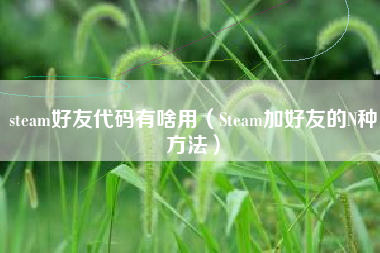 steam好友代码有啥用（Steam加好友的N种方法）