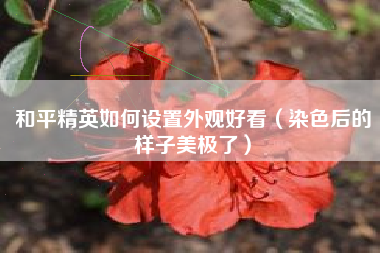 和平精英如何设置外观好看（染色后的样子美极了）