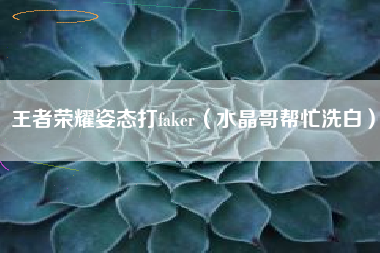 王者荣耀姿态打faker（水晶哥帮忙洗白）