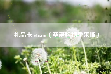 礼品卡 steam（圣诞购物季来临）