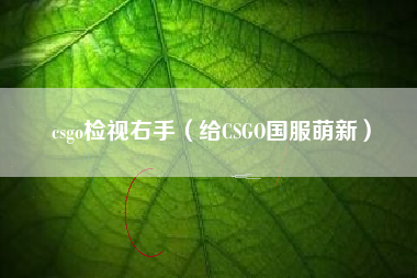 csgo检视右手（给CSGO国服萌新）