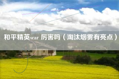 和平精英scar 厉害吗（淘汰烟雾有亮点）