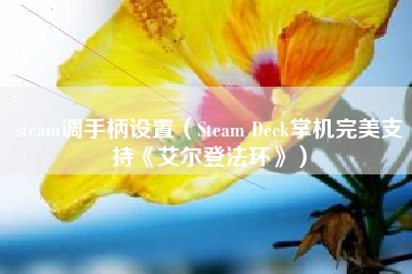 steam调手柄设置（Steam Deck掌机完美支持《艾尔登法环》）