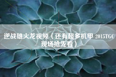 逆战雄火龙视频（还有超多机甲 2015TGC现场抢先看）