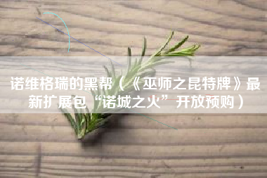 诺维格瑞的黑帮（《巫师之昆特牌》最新扩展包“诺城之火”开放预购）