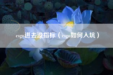 csgo进去没指标（csgo如何入坑）