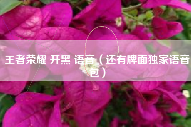 王者荣耀 开黑 语音（还有牌面独家语音包）