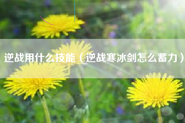 逆战用什么技能（逆战寒冰剑怎么蓄力）