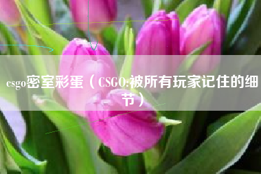 csgo密室彩蛋（CSGO:被所有玩家记住的细节）