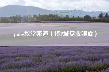 pubg教堂密道（将P城尽收眼底）