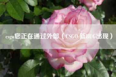 csgo您正在通过外部（CSGO:新BUG出现）