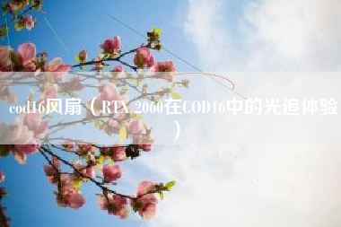 cod16风扇（RTX 2060在COD16中的光追体验）