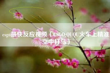 csgo最快反应视频（CSGO:QUQU火车上精准空中打鸟）