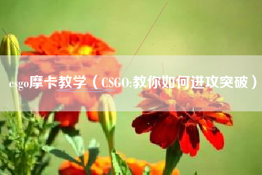 csgo摩卡教学（CSGO:教你如何进攻突破）