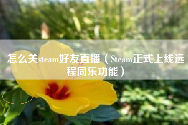 怎么关steam好友直播（Steam正式上线远程同乐功能）