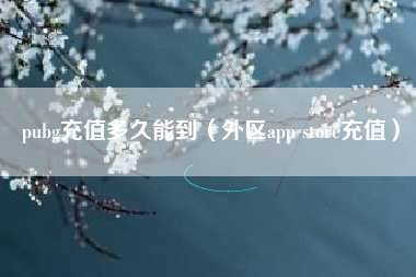 pubg充值多久能到（外区app store充值）