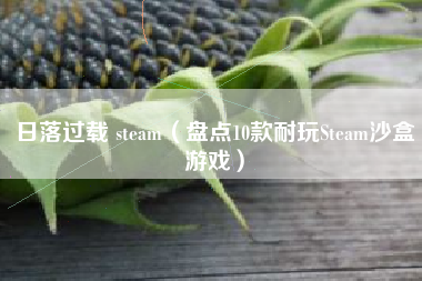 日落过载 steam（盘点10款耐玩Steam沙盒游戏）