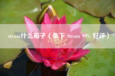 steam什么箱子（拿下 Steam 99% 好评）