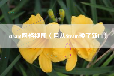 steam网格视图（自从Steam换了新UI）