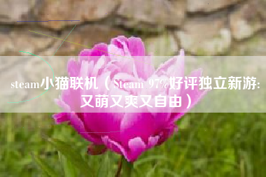 steam小猫联机（Steam 97%好评独立新游:又萌又爽又自由）