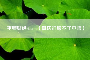 巫师财经steam（算法征服不了巫师）