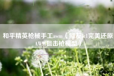 和平精英枪械手工awm（网友1:1完美还原AWM狙击枪模型）