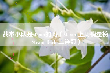 战术小队是steam的吗（Steam 上周销量榜:Steam Deck 二连冠）