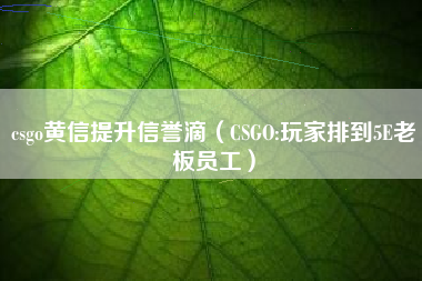 csgo黄信提升信誉滴（CSGO:玩家排到5E老板员工）