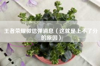 王者荣耀微信弹消息（这就是上不了分的原因）