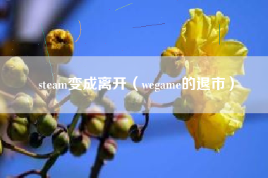 steam变成离开（wegame的退市）