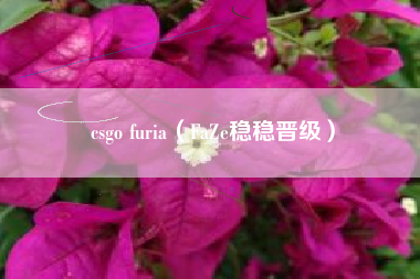 csgo furia（FaZe稳稳晋级）