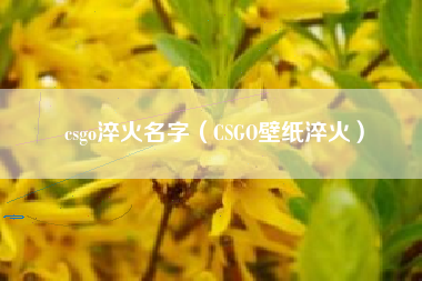 csgo淬火名字（CSGO壁纸淬火）