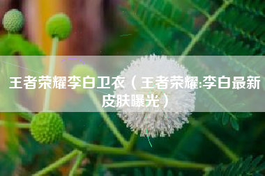 王者荣耀李白卫衣（王者荣耀:李白最新皮肤曝光）